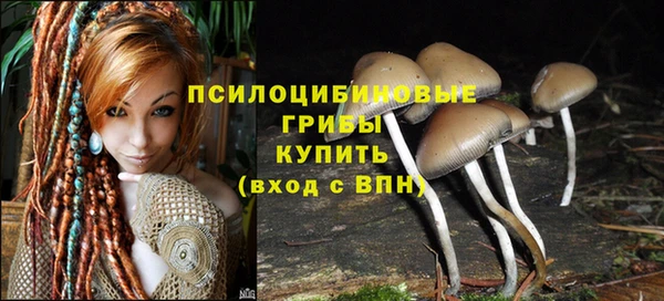 сатива Абаза