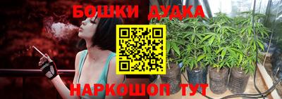 гашик Кунгур