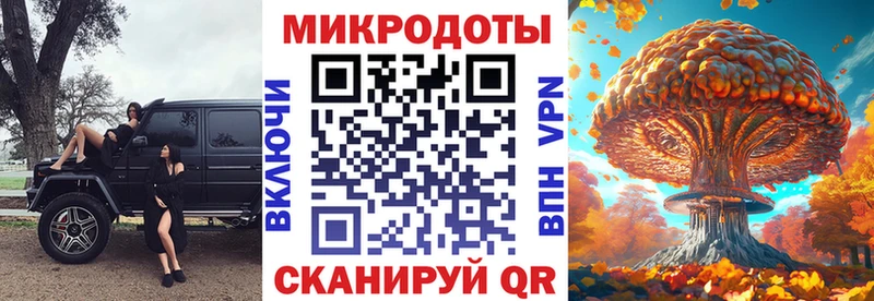 Псилоцибиновые грибы Psilocybe  наркотики  кракен сайт  Моршанск 