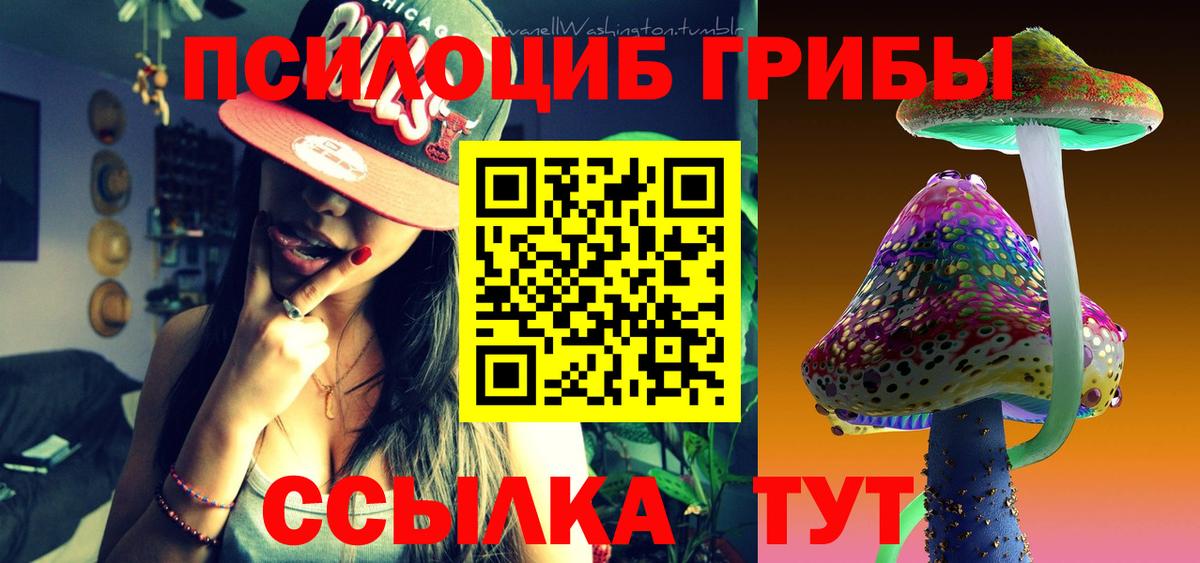 Галлюциногенные грибы прущие грибы Моршанск