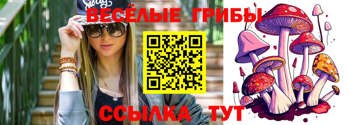 купить наркотик  Псилоцибиновые грибы Psilocybe  Моршанск  Вход с VPN  Псилоцибиновые грибы Magic Shrooms 