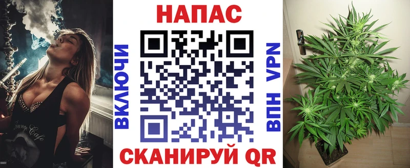 купить  сайты  сайты даркнета телеграм  Каннабис ГИДРОПОН  Моршанск 